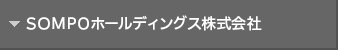 ??? ?? Holdings Co, Ltd